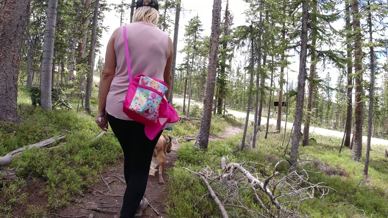 The woman and dog move farther down the dirt path, with dense trees and a pale road or trail visible beyond the forest in Winter Park, Colorado.