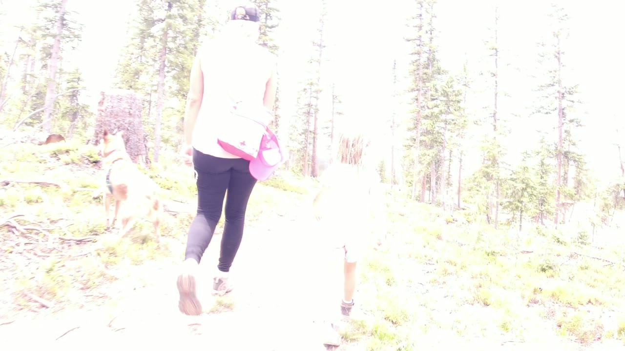 At 0:01, the woman is centered from behind while the child and tan dog move ahead among pine trees in Winter Park, Colorado.