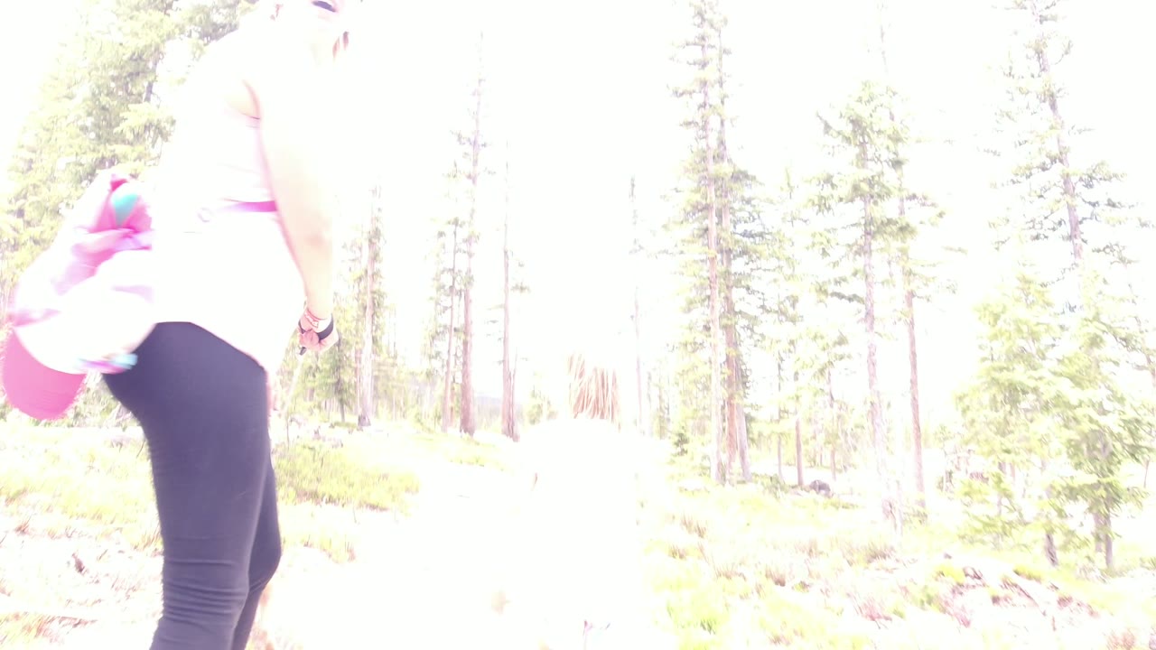 Adult walking at the left edge of a bright forest frame.