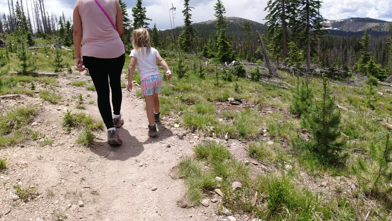 Woman and child walking away on a forest trail.