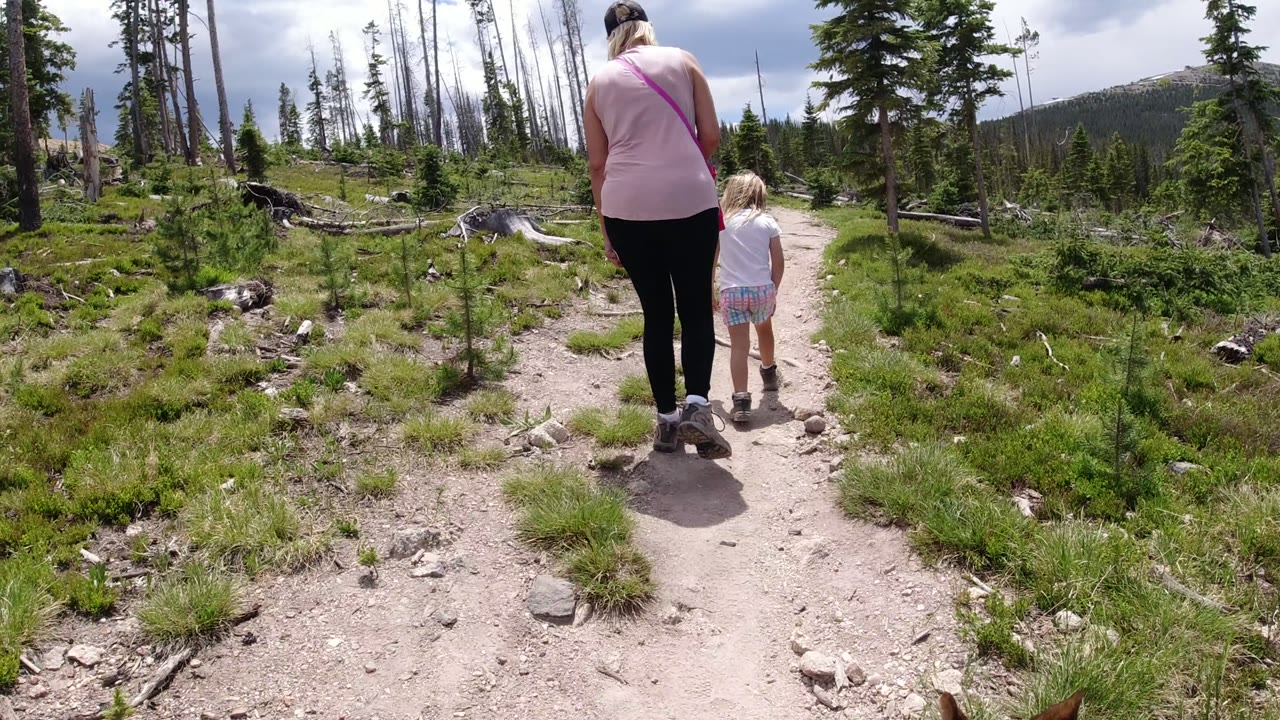 A woman and child walk away on a dirt trail in Winter Park, Colorado, with low grass, young evergreens, fallen wood, and distant hills under a partly cloudy sky.