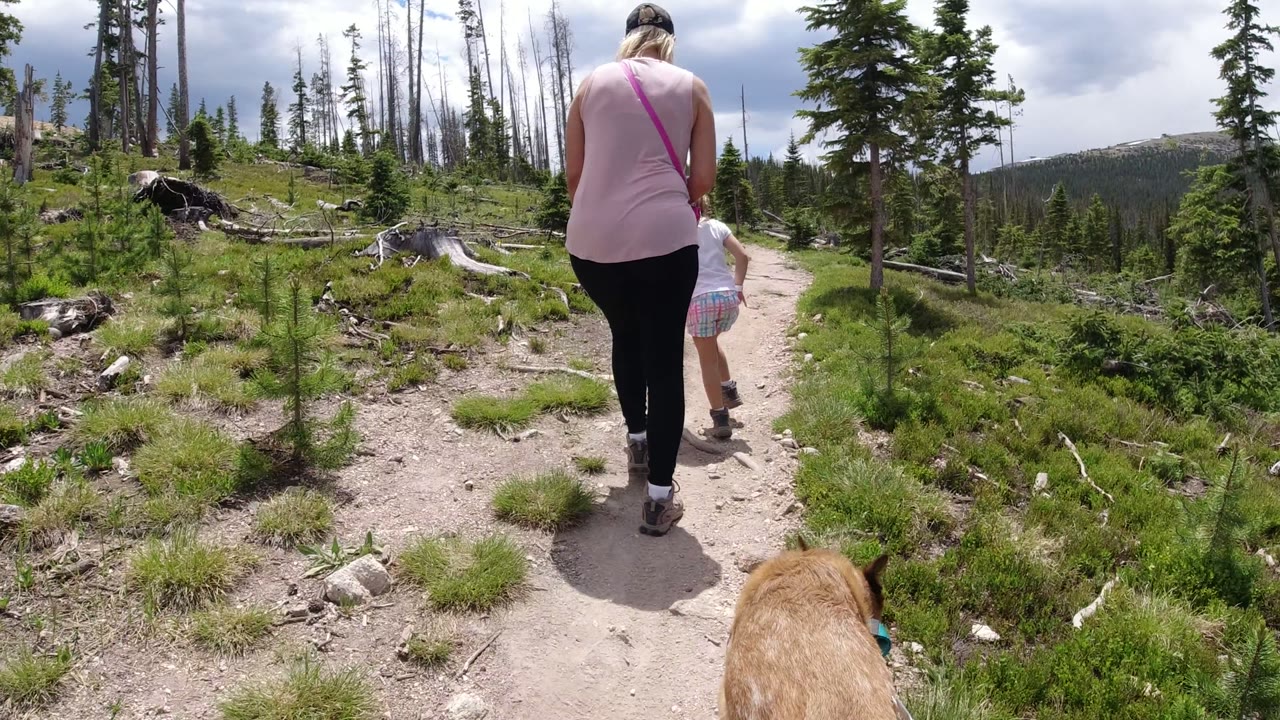The woman and child move farther along the Winter Park trail, with rocky dirt underfoot, scattered saplings, pale fallen branches, and a rounded mountain ridge in the distance.