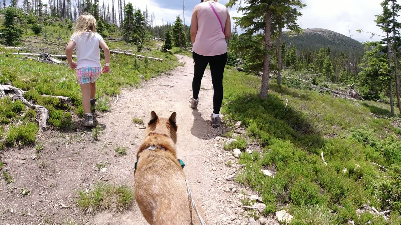 Child, adult, and dog walking away on a mountain trail.