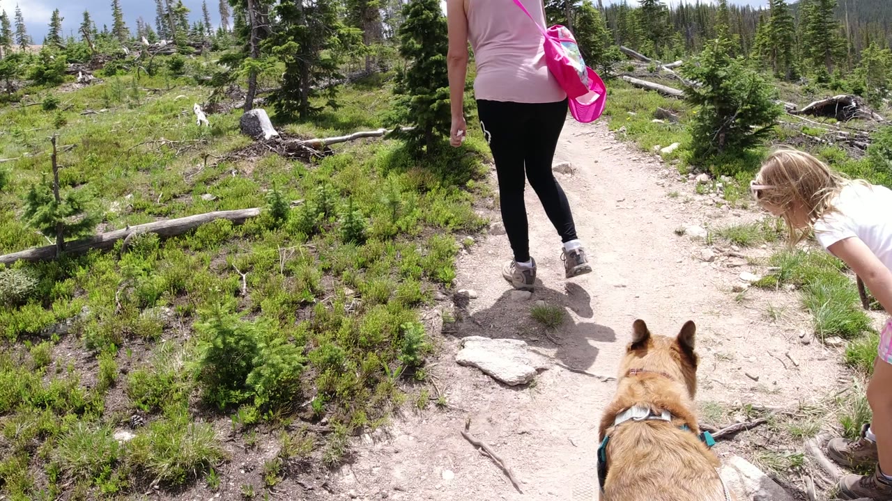 Woman, child, and dog walking up a mountain trail