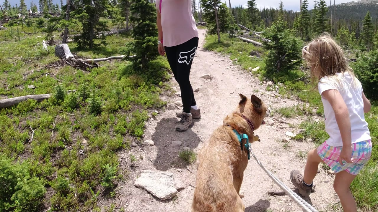 The girl leans down beside the dusty path as the dog looks forward and the woman continues ahead on the Winter Park, Colorado trail.