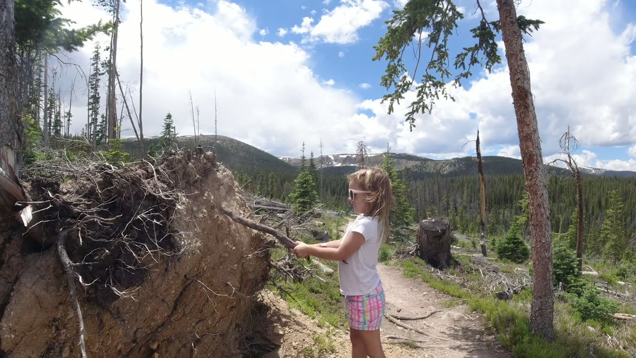 The child reaches the stick toward the root-covered side of the dirt mound in Winter Park, Colorado, with the trail curving past trees and stumps.