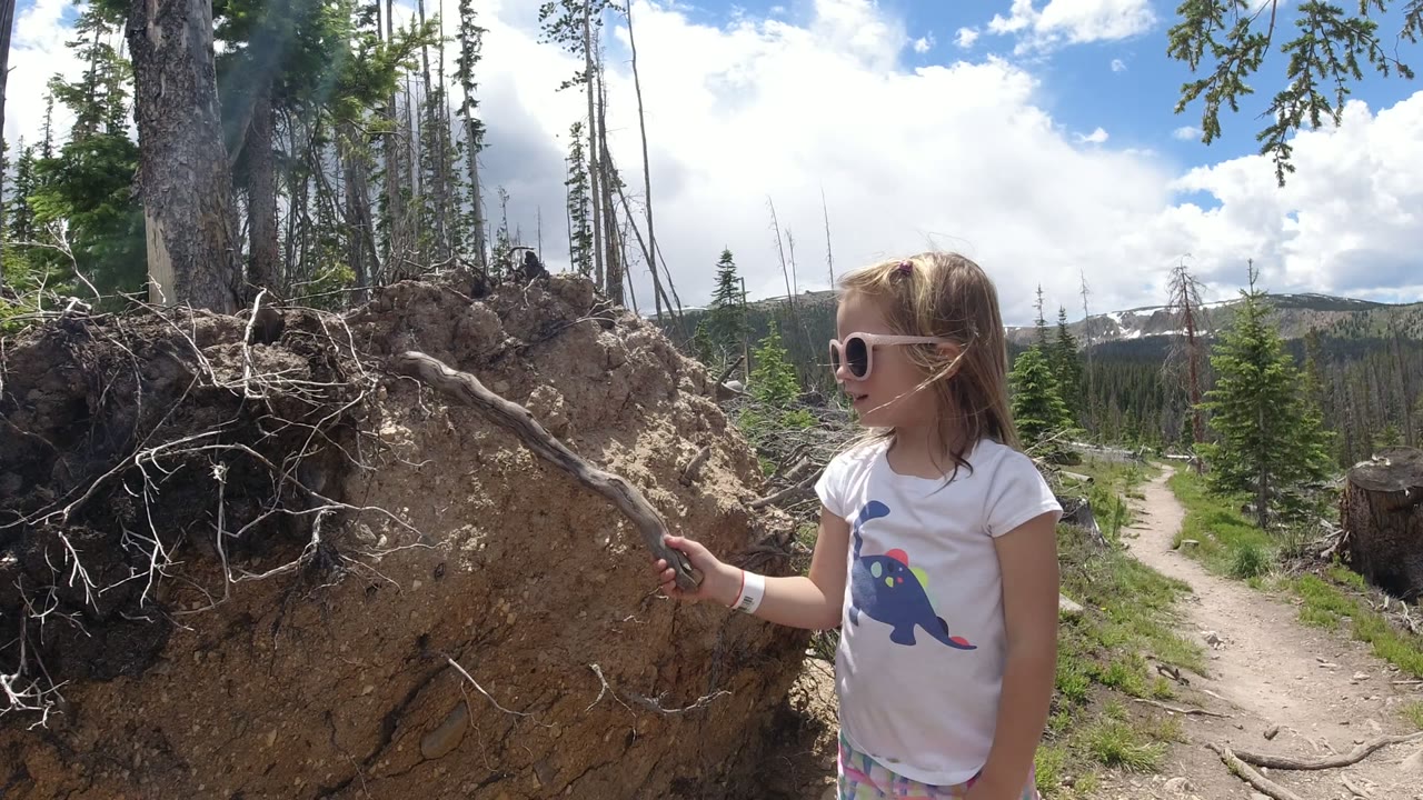 In Winter Park, Colorado, a young girl in sunglasses stands beside a large exposed tree root mass and points a stick at it near a dirt trail.