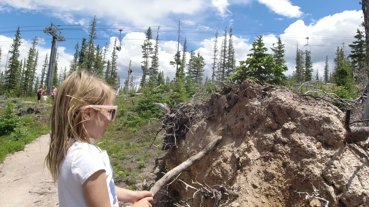 A young girl in sunglasses stands at the right of the frame in Winter Park, Colorado, holding a stick toward an uprooted tree beside a dirt trail.