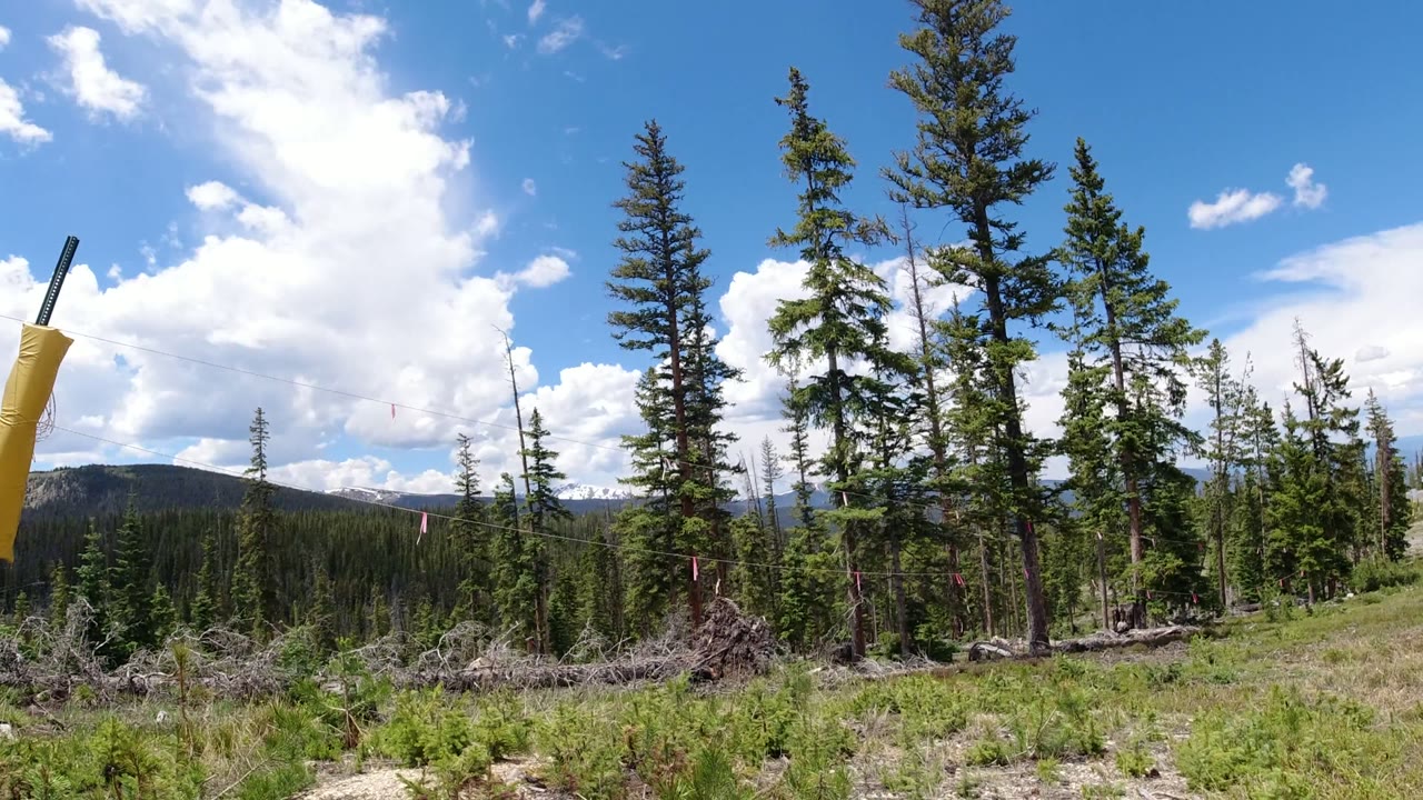 Wide forest clearing with tall conifers, distant hills, clouds, and a yellow padded object at the far left edge.