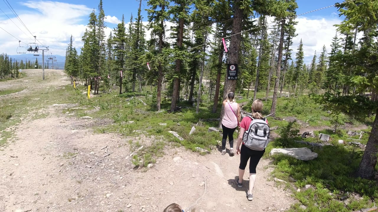 Two hikers walking away on a dirt trail beside evergreen trees.