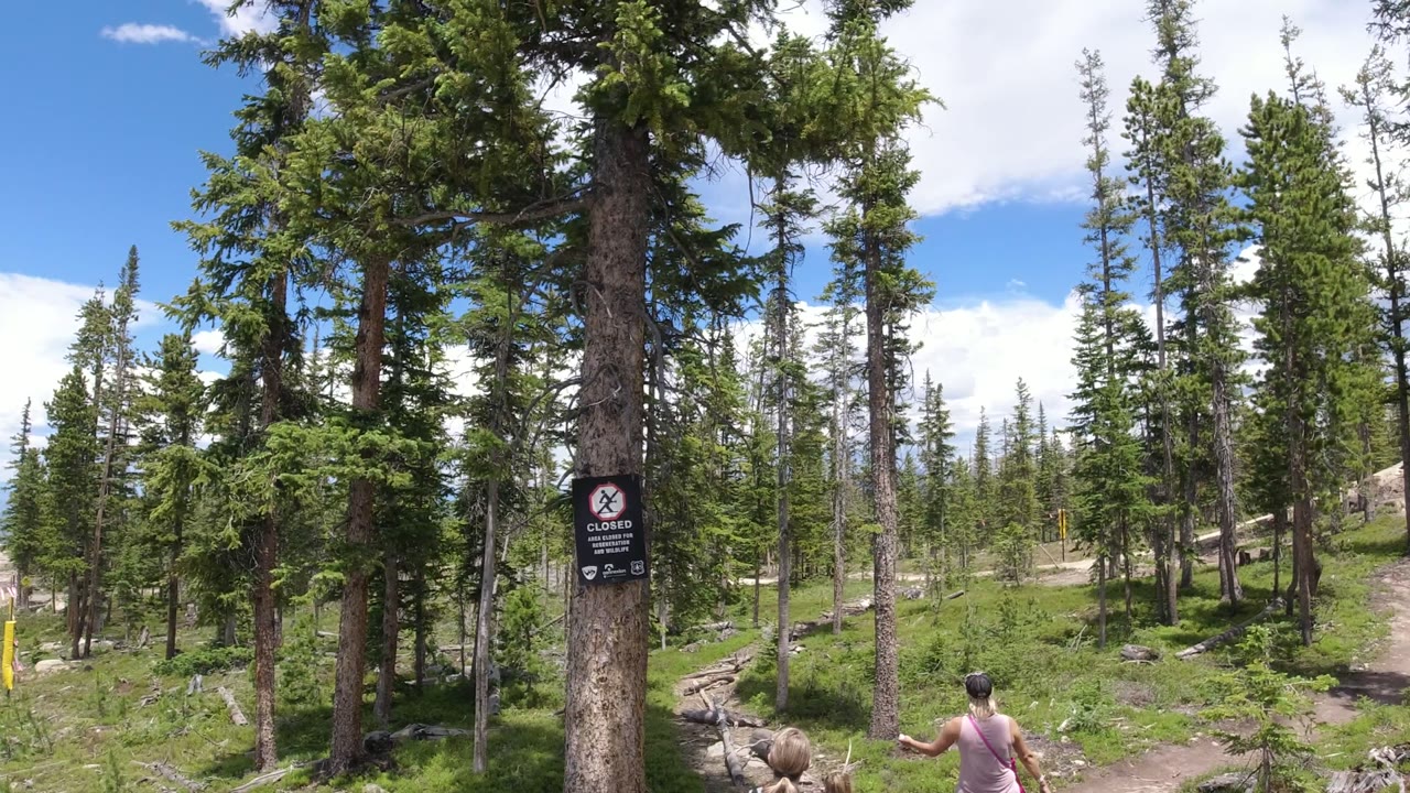 Evergreen forest path with a closed sign on a tree and walkers partly visible at the bottom edge.