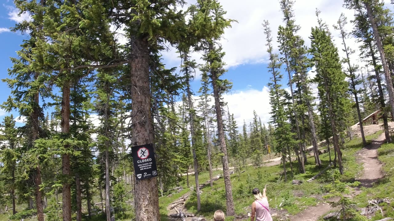 Winter Park, Colorado trail scene with the closed sign centered on a tree and an adult in a pink top walking away with children near the path.