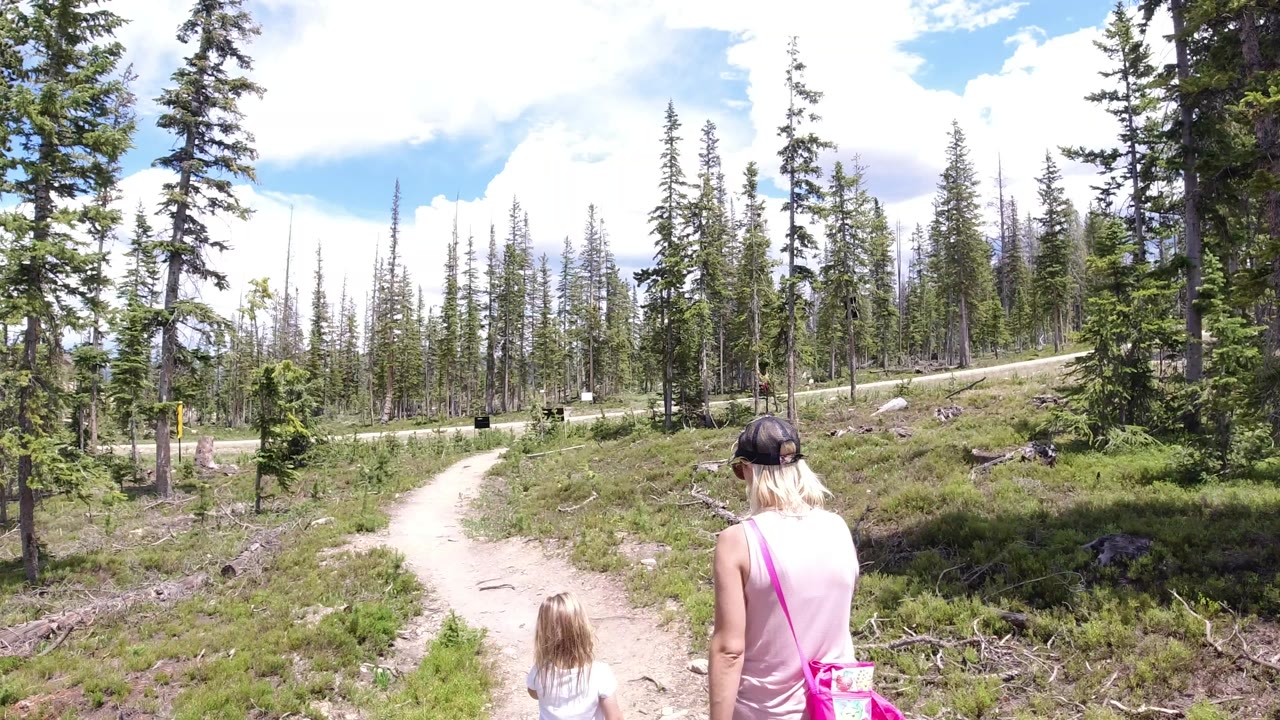 Adult and child walking away on a dirt trail through evergreen forest.