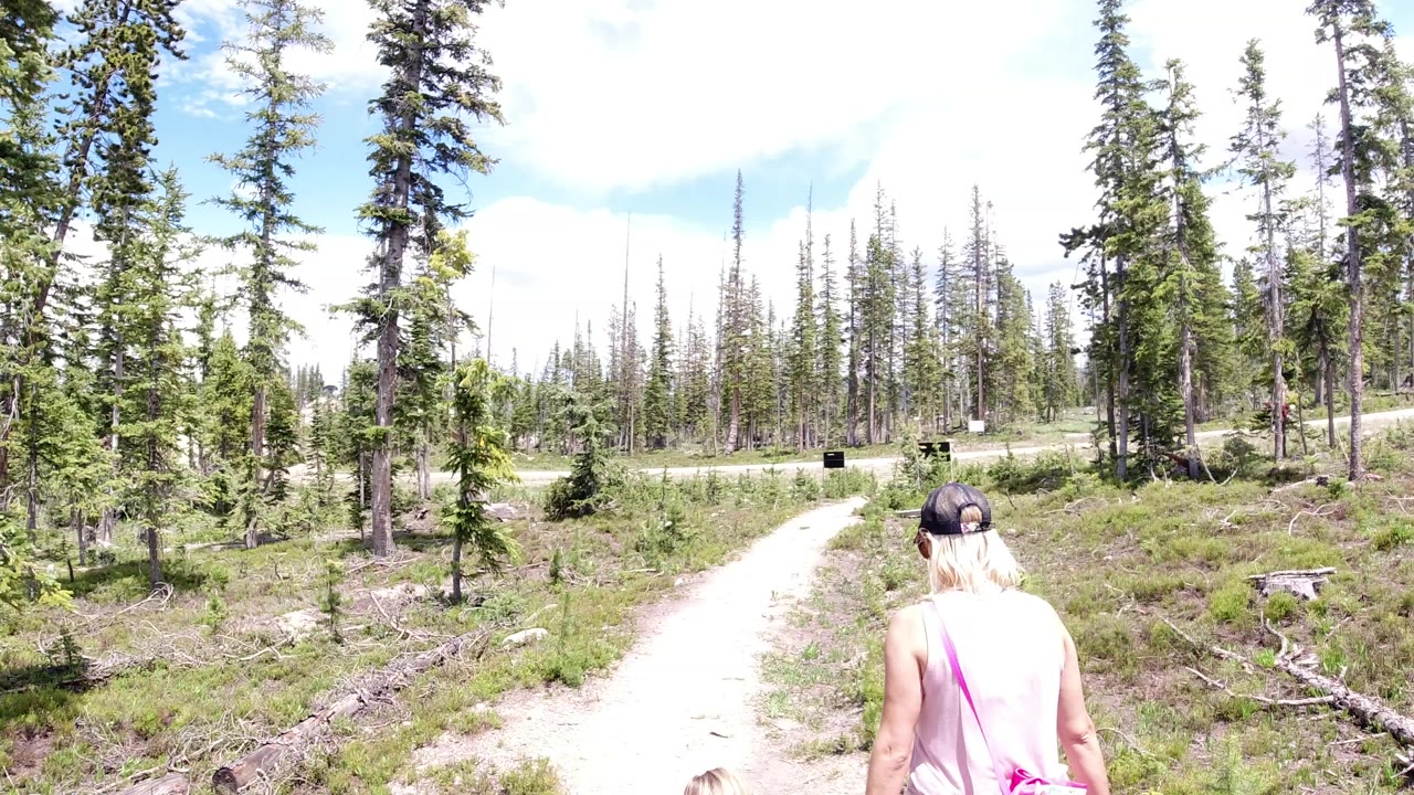 The woman remains centered from behind on the Winter Park forest trail, with tall thin pines ahead and a small dark sign near the path.