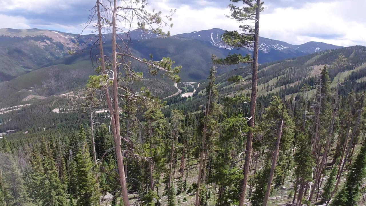 Winter Park, Colorado mountain valley seen over tall evergreen trees, with distant snow-streaked ridges and no visible people.