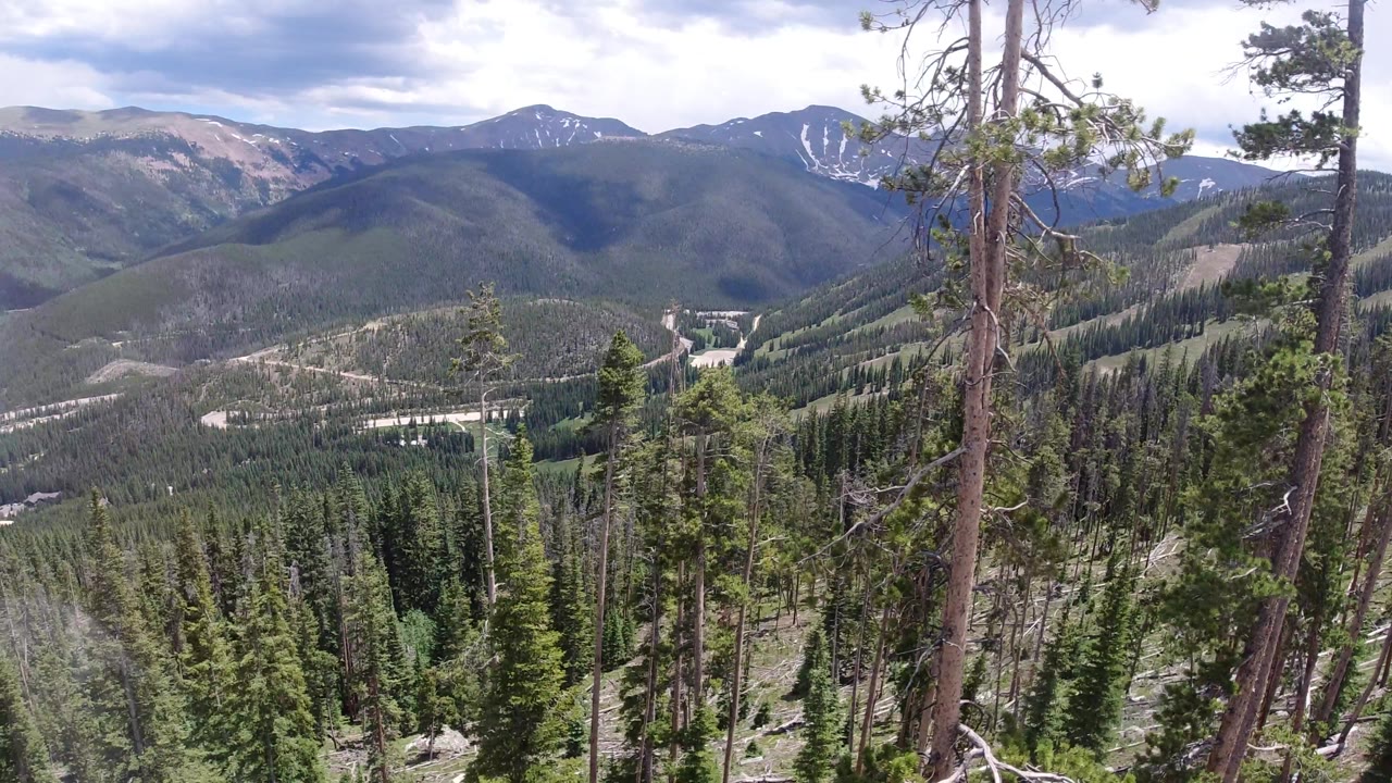 Mountain valley with dense conifers and distant snowy peaks