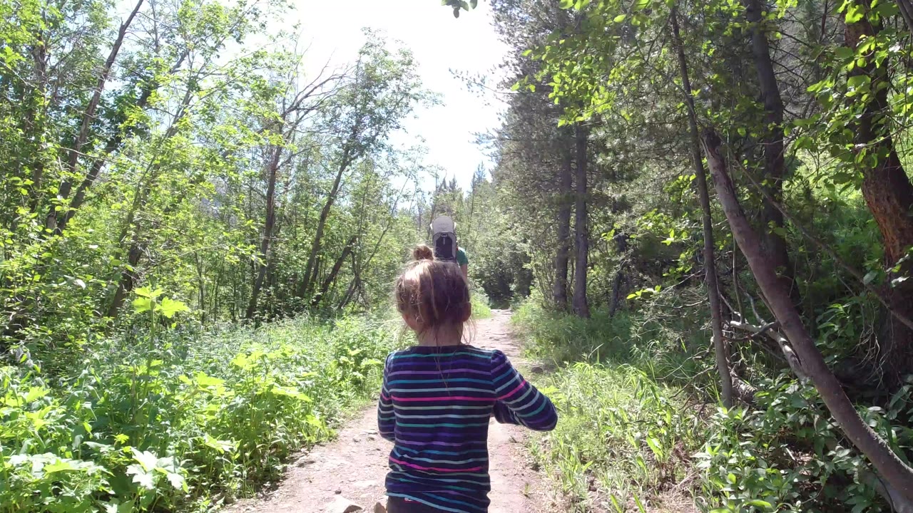 A child in a striped shirt walks away from the camera on a wooded dirt path in Winter Park, Colorado, with an adult farther ahead in bright sun.