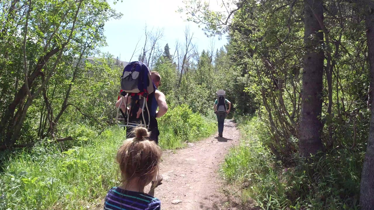 Child and two backpacking adults walking on a forest trail.