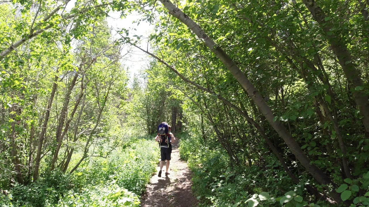 A hiker carrying a large backpack continues away from camera on a sunlit forest path in Winter Park, Colorado.