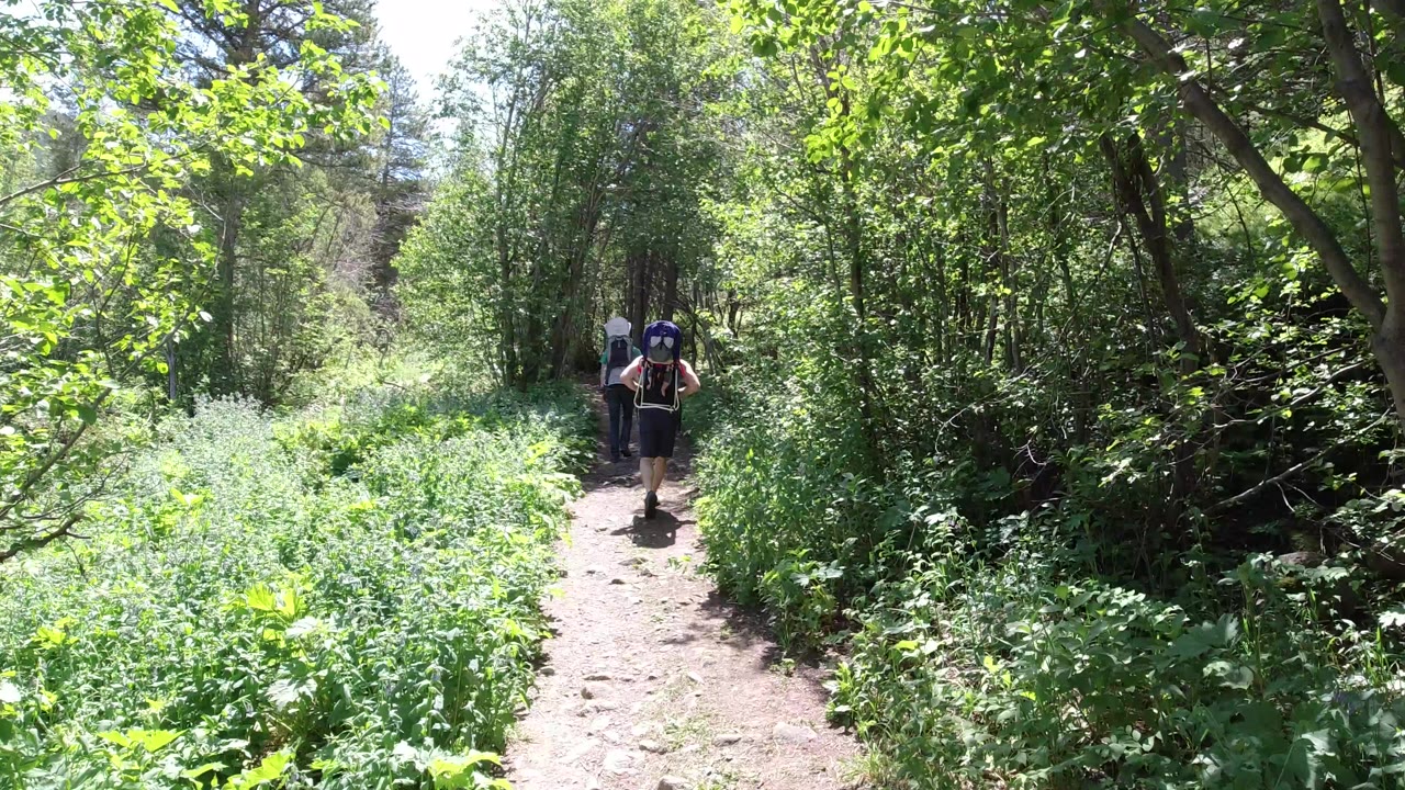 Two backpackers walk away along a narrow dirt trail in Winter Park, Colorado, with bright green foliage on both sides and sunlit trees overhead.