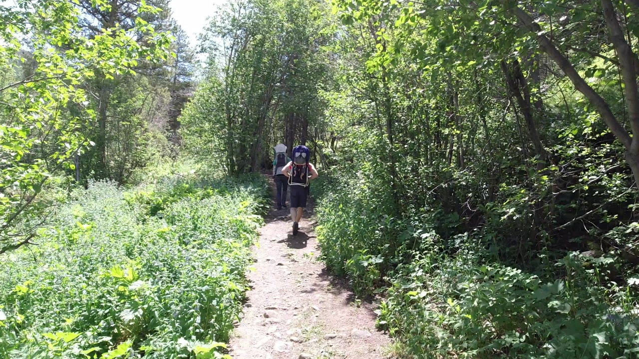 The two hikers remain centered on the Winter Park forest path as the trail curves through thick green plants and tall tree trunks.