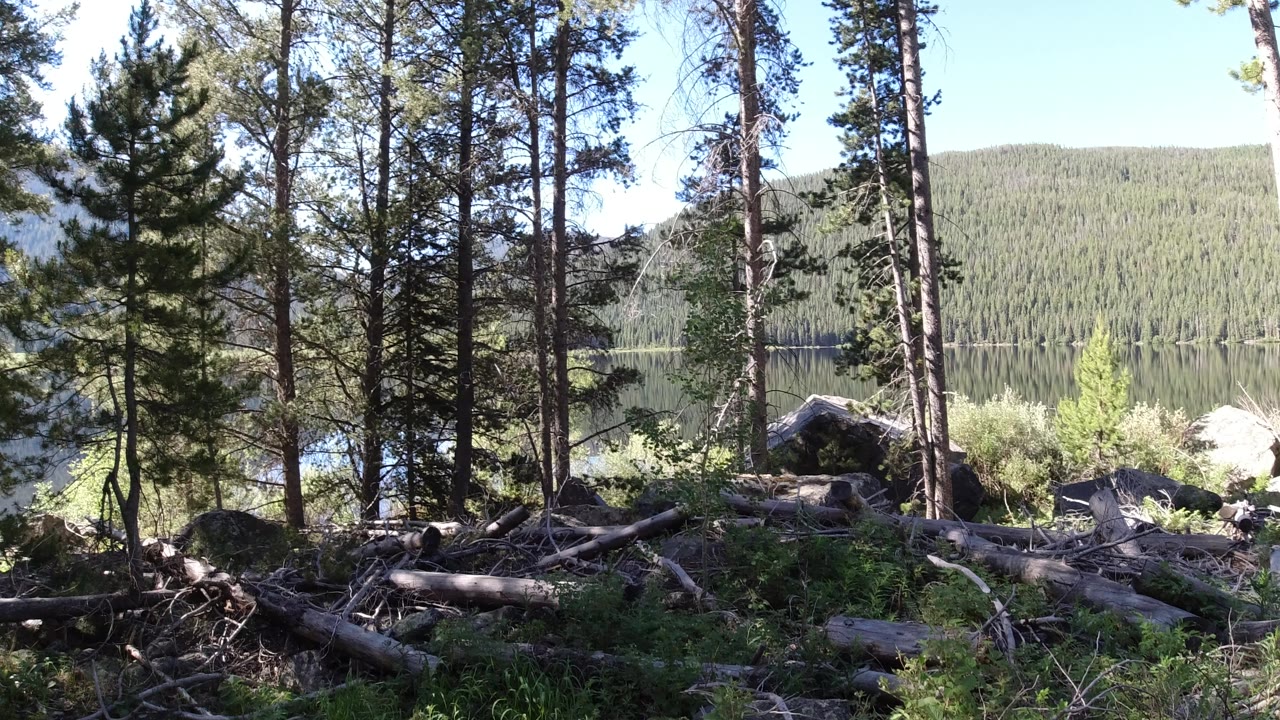 Winter Park, Colorado pine forest with fallen logs in the foreground, water behind the trunks, forested hills beyond, and no visible people.