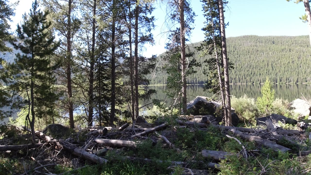 Winter Park, Colorado woodland view with upright pines, scattered deadfall, boulders, a narrow strip of water, distant tree-covered slope, and no visible people.