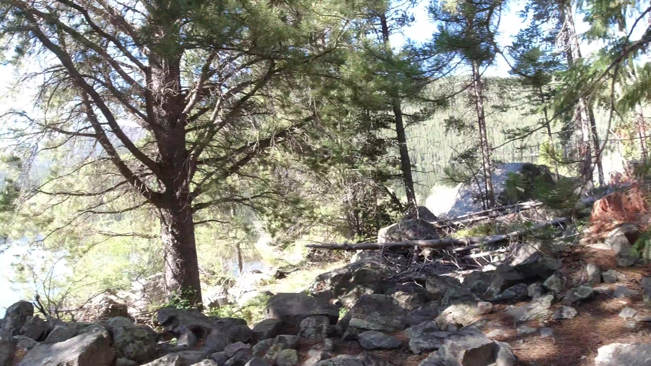 Rocky lakeshore under pine trees with mountains beyond the water.