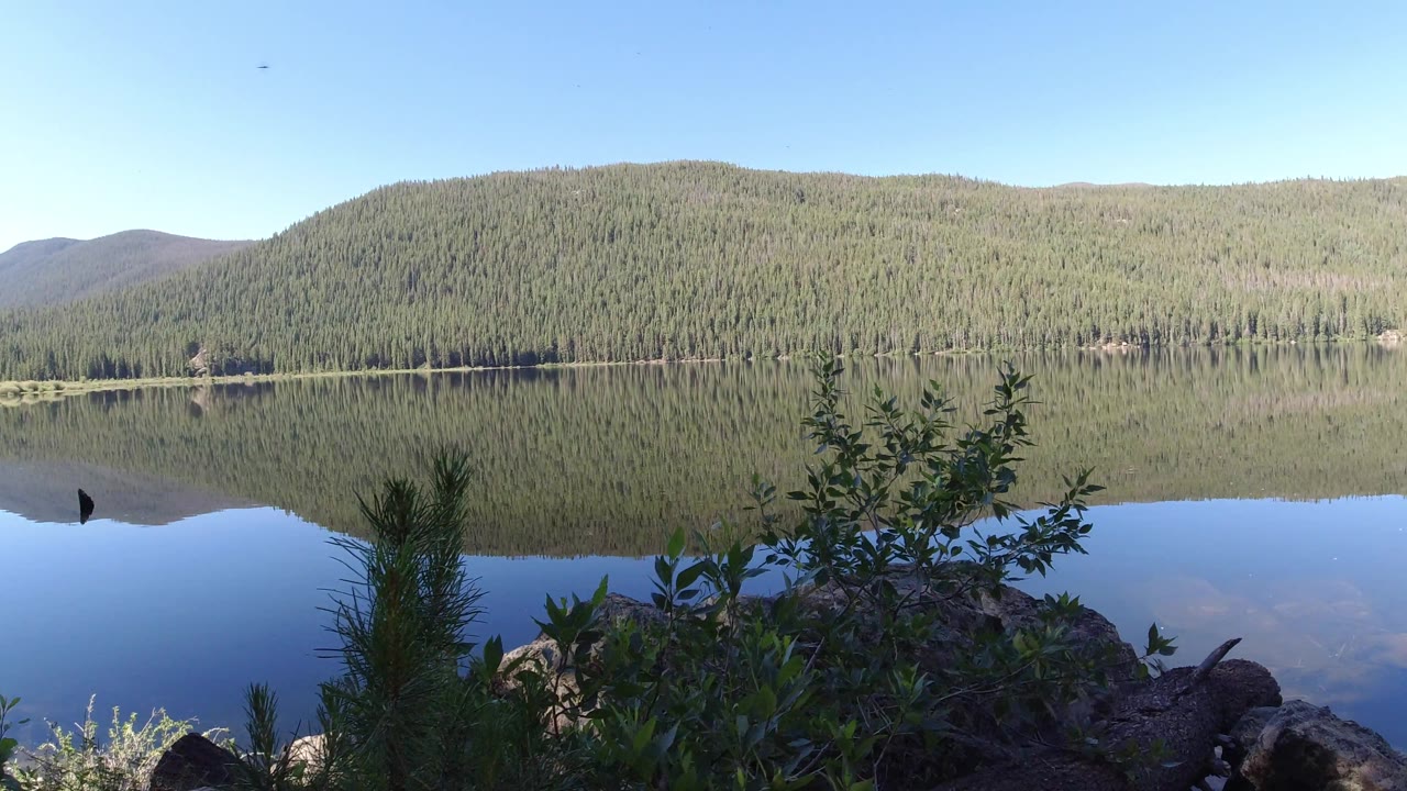 Clear lake with forested mountain reflection and a small pine in the foreground.