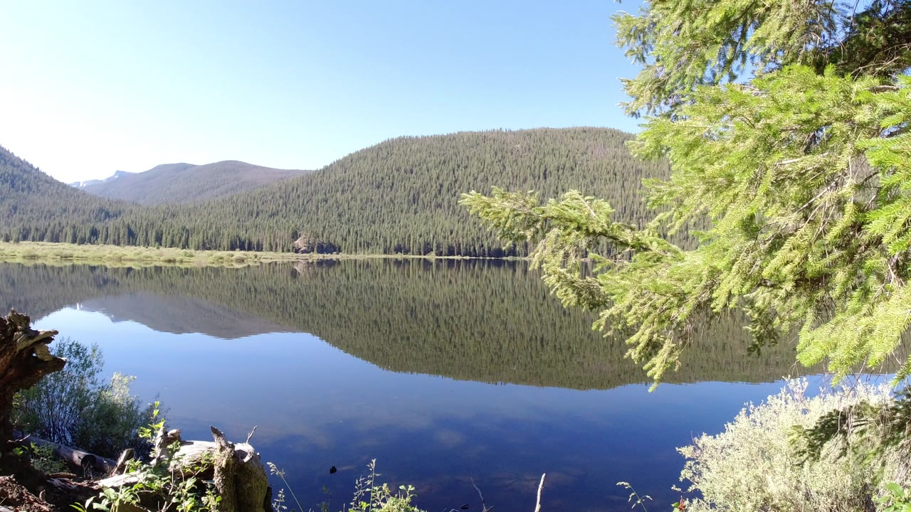 A Winter Park, Colorado lake reflects a forested mountain ridge under a clear blue sky, with evergreen branches and shoreline brush in the foreground and no visible people.