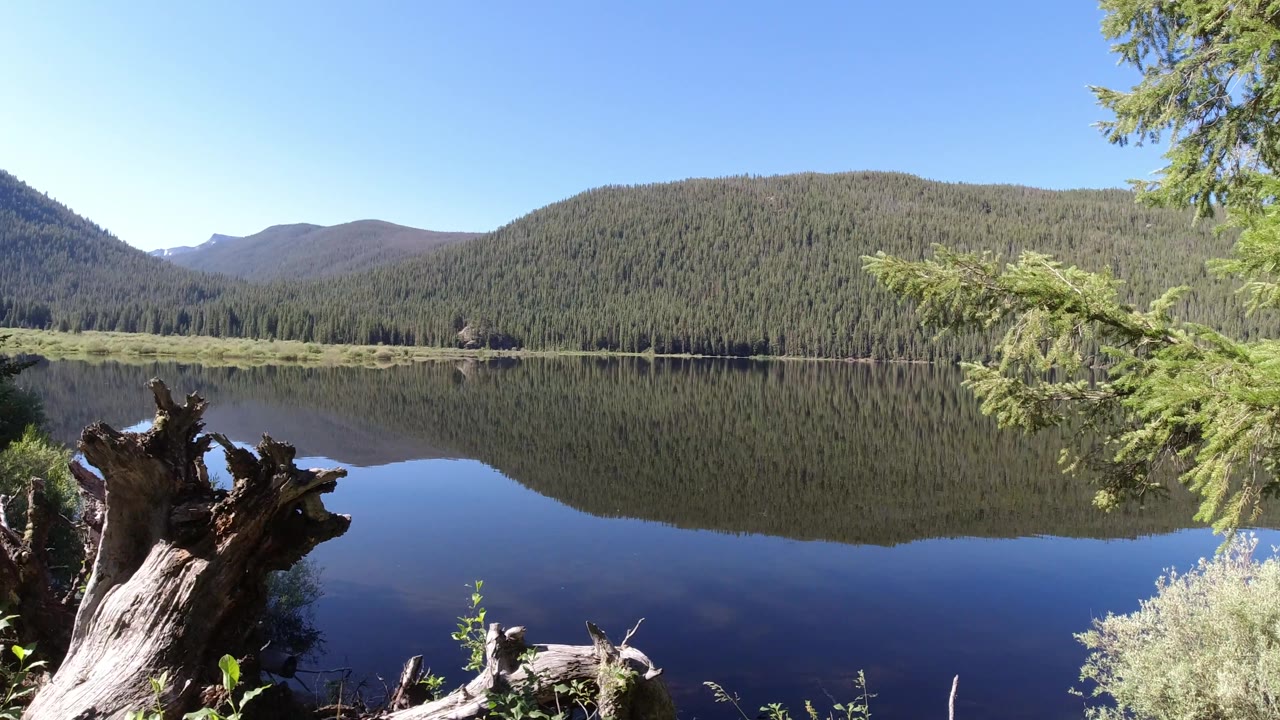 Lake reflection with dead tree stump in foreground