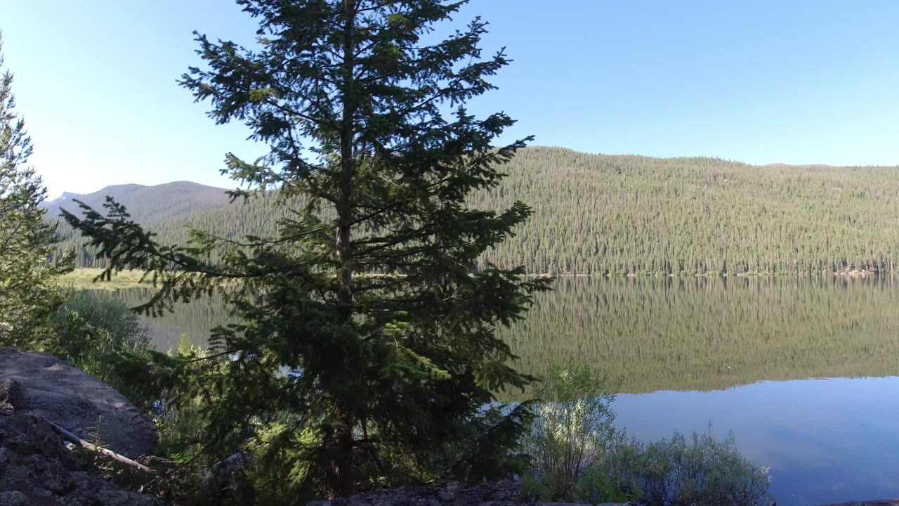 Winter Park, Colorado lake view with a central evergreen, calm water, reflected tree line, and distant wooded slopes, no visible people.