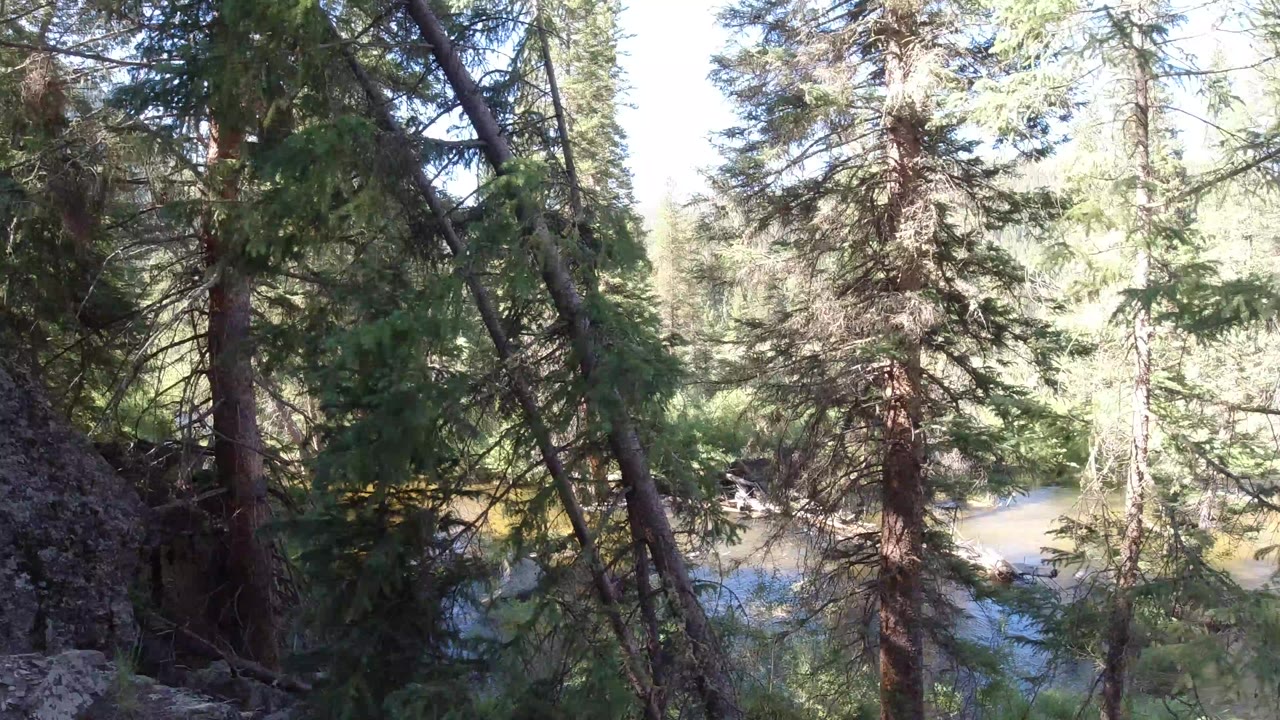 Winter Park, Colorado forest view with dark evergreen branches, a large gray boulder at left, sunlit water behind the trees, and no visible people.
