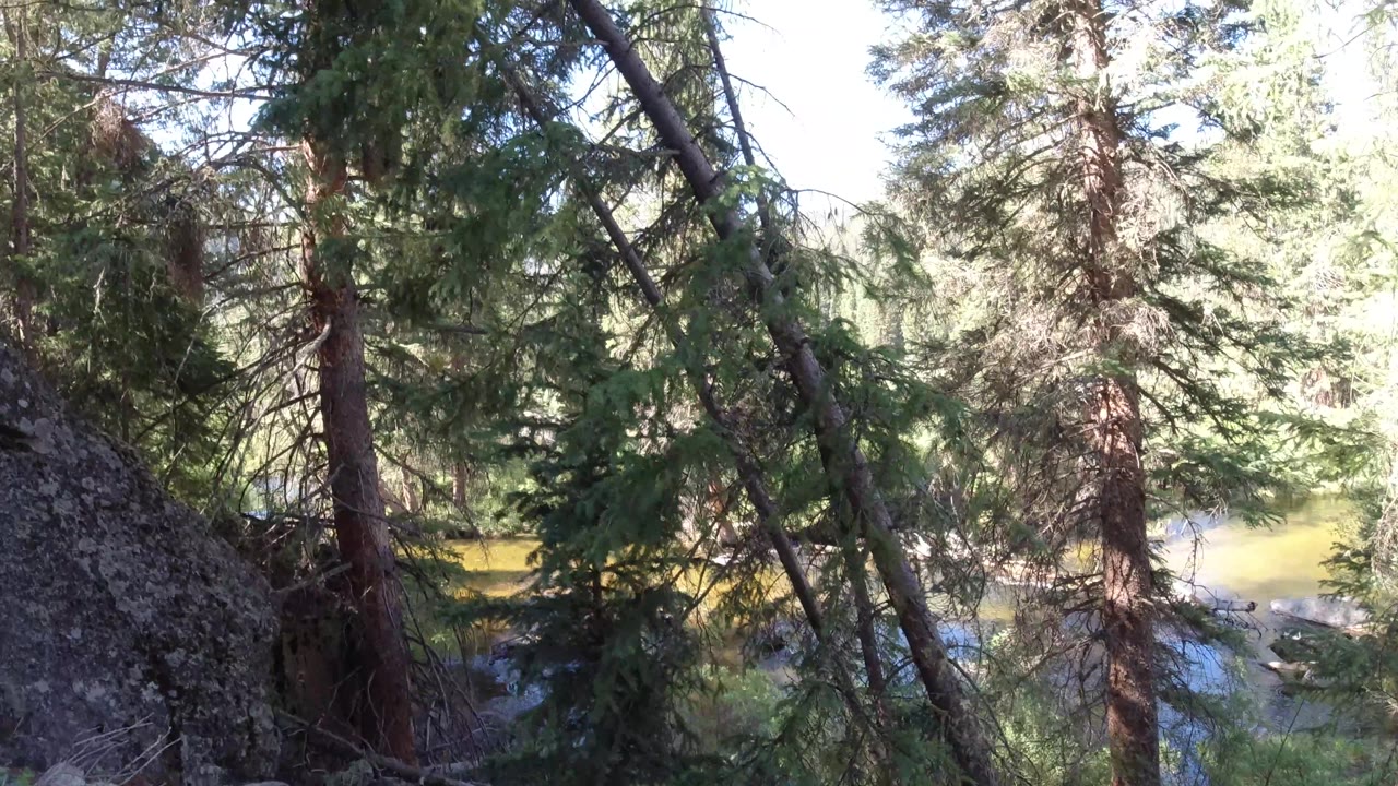 Large lichen rock beside pine trees with water beyond.