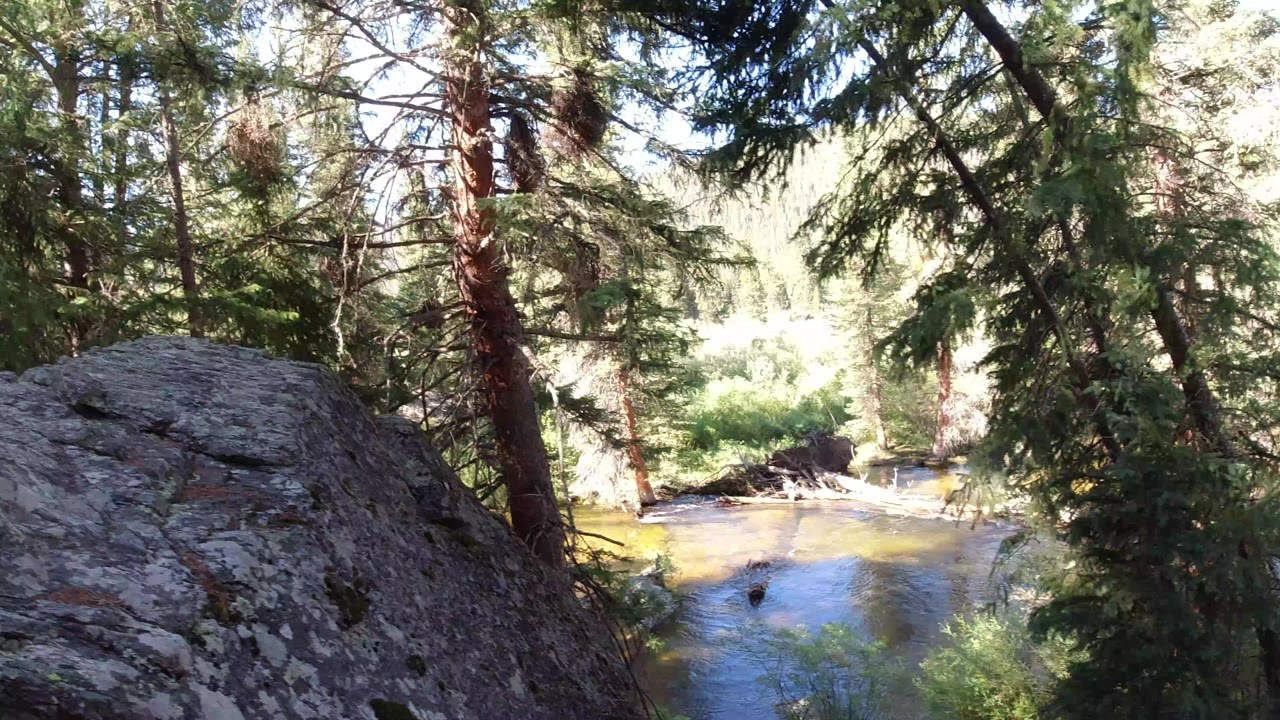 Winter Park, Colorado forest stream viewed from above a large gray foreground rock, with evergreen branches overhead and no visible people.
