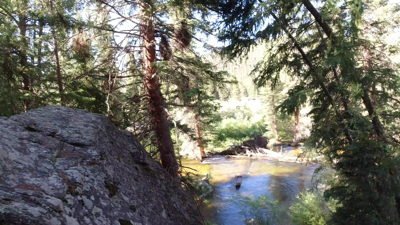 Winter Park, Colorado stream catches bright sunlight beyond a gray boulder and dark evergreen branches, with no visible people.