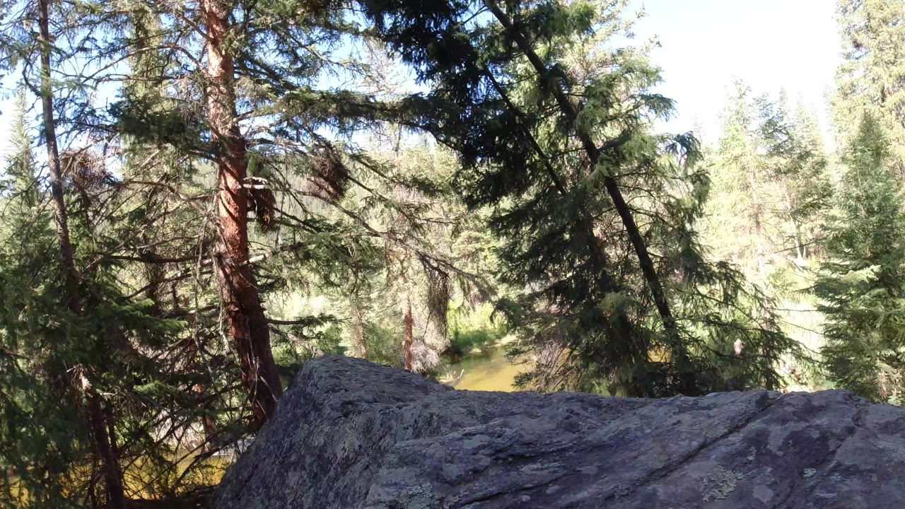 Opening frame of a Winter Park, Colorado forest view with gray foreground rocks, tall evergreen trunks, bright sky, and no visible people.
