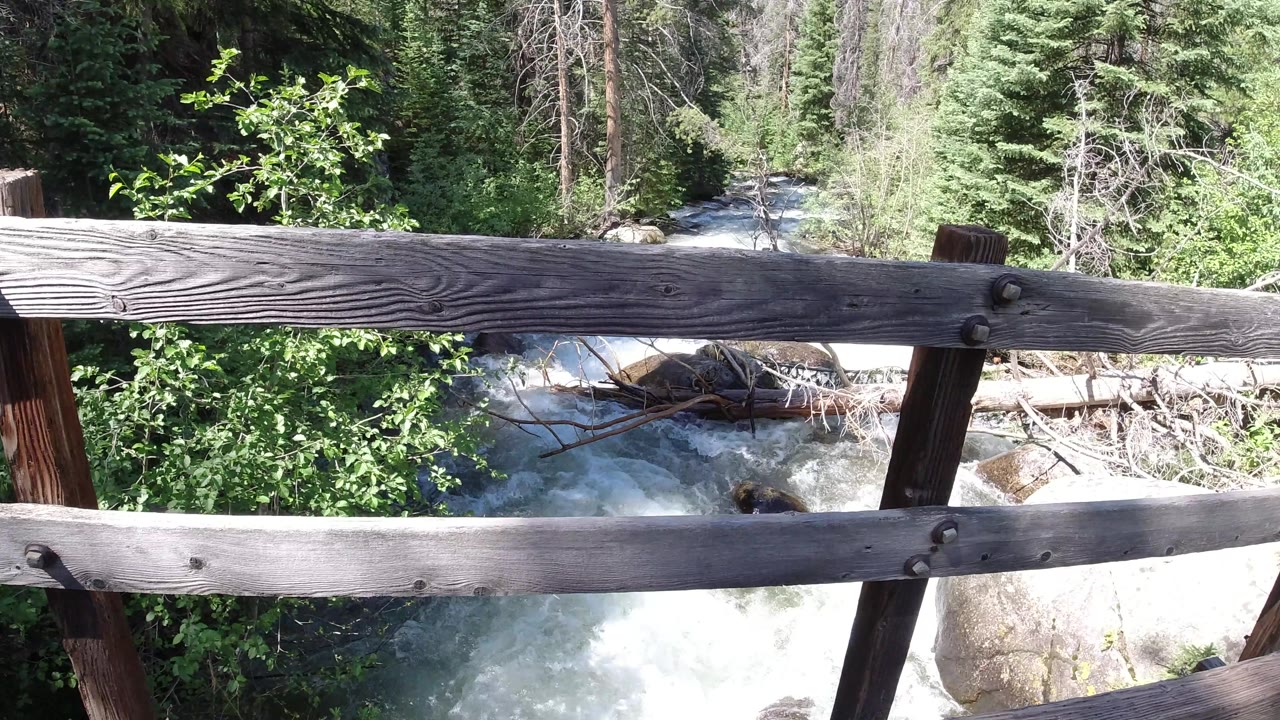 Rustic bridge railing with stream and trees behind it
