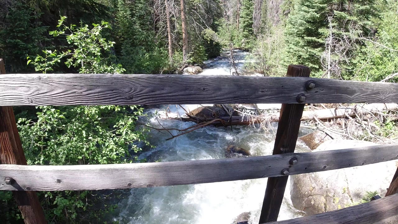 Wooden footbridge railing above a rushing forest stream.