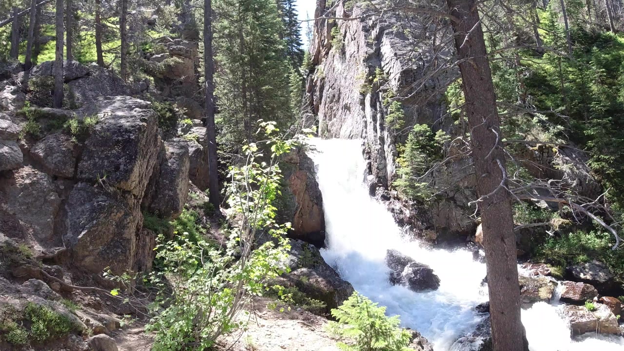 A bright white waterfall runs through rocks and pine forest in Winter Park, Colorado, with leafy shrubs in front and no visible people.