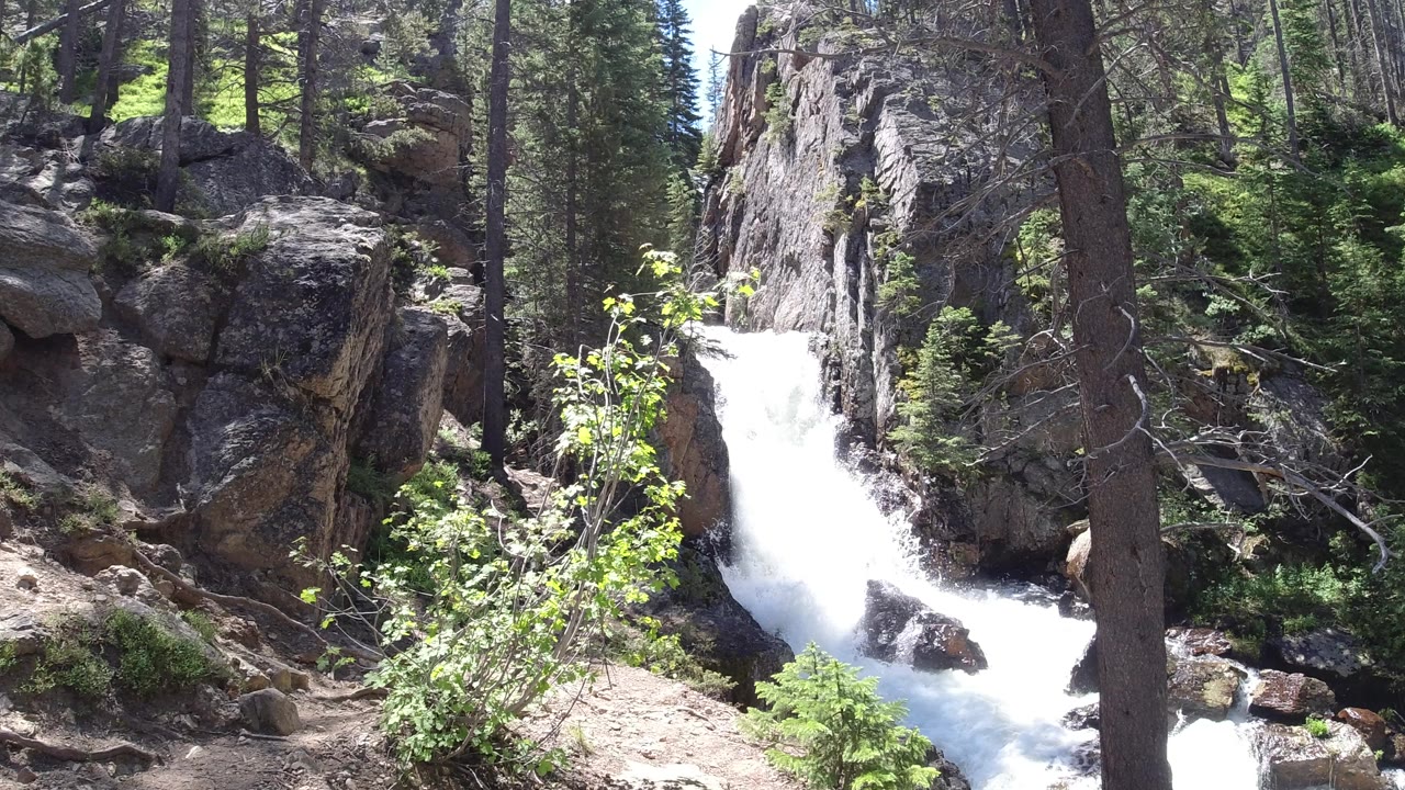 A small white waterfall runs through rocks and evergreen trees in Winter Park, Colorado, with sunlit shrubs in the foreground and no visible people.