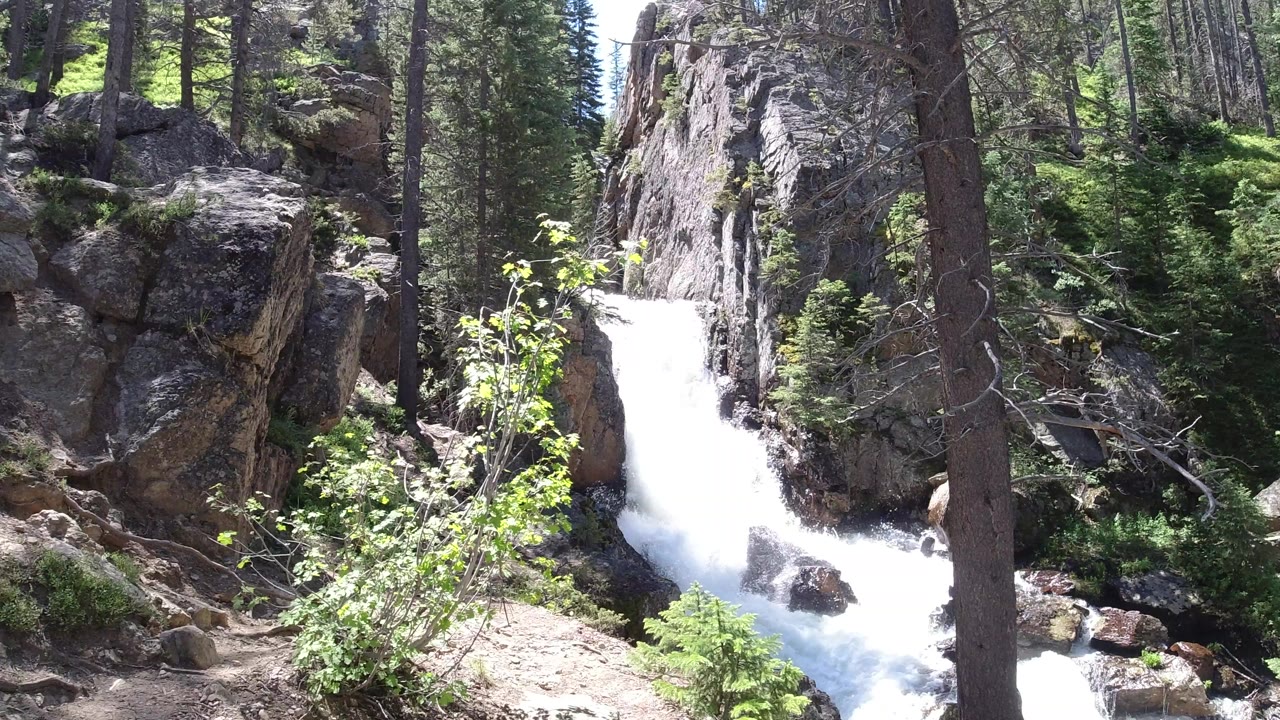 White water surges down the rocky channel in Winter Park, Colorado, with a sunlit shrub crossing the foreground and no visible people.