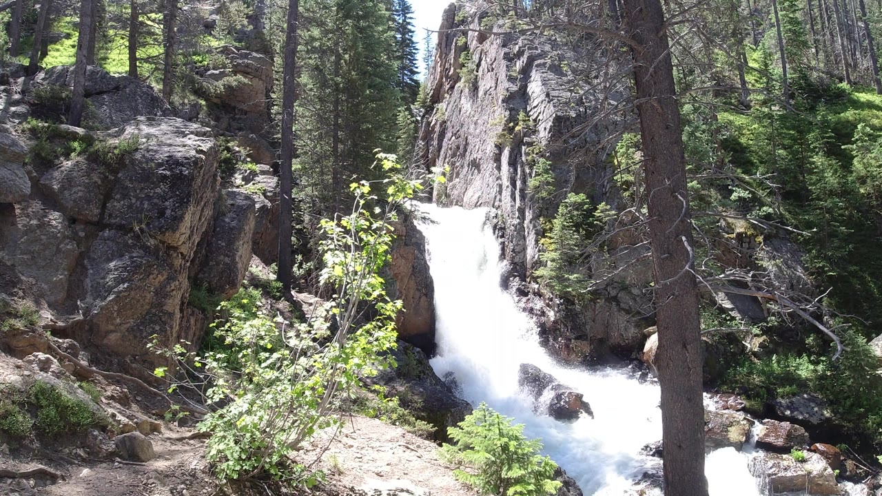 Rocky forest waterfall with tall tree trunk at right