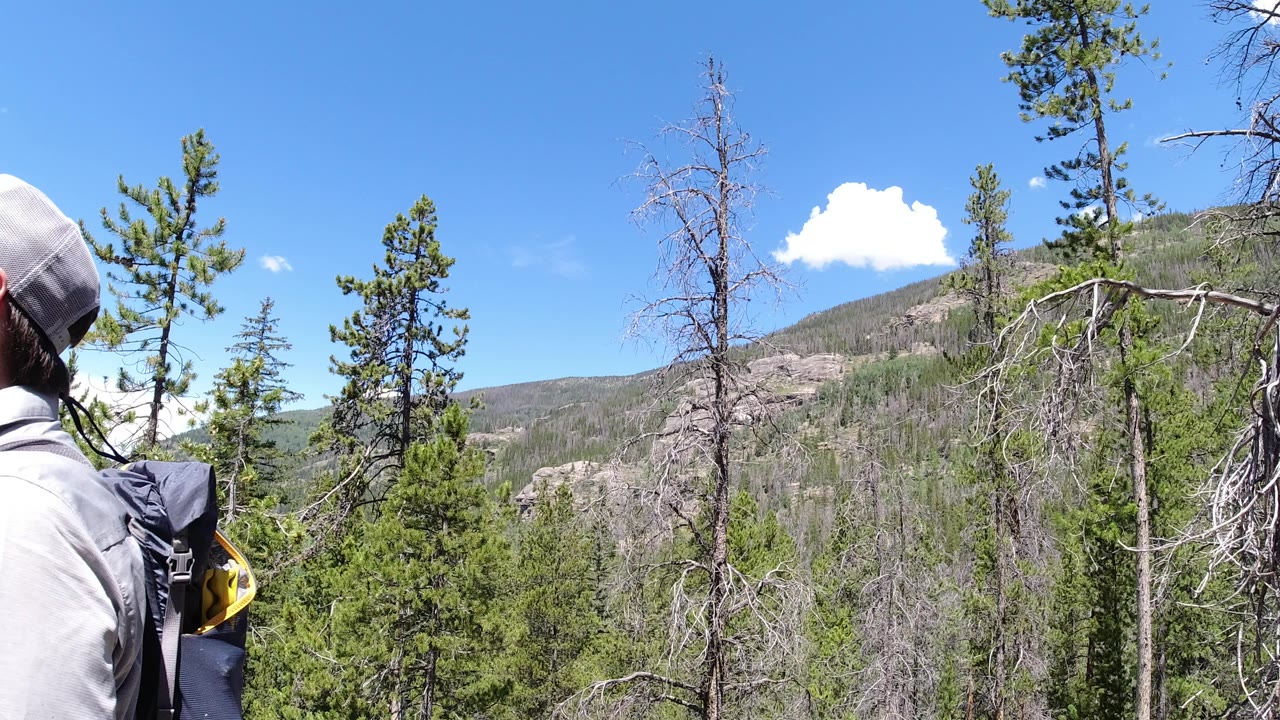 Cropped hiker beside pine trees and a forested mountain slope.