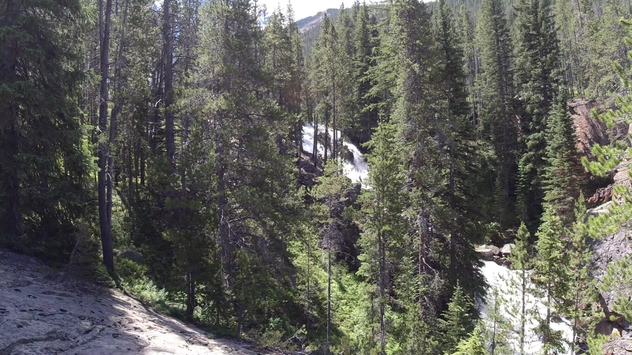 A dense stand of pines in Winter Park, Colorado surrounds a white stream channel, with sunlit rock at lower left and no visible people.