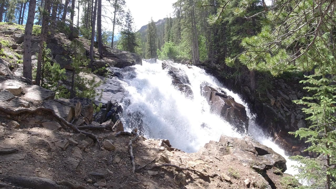 Rushing white water drops over dark rocks in a Winter Park, Colorado pine forest, with exposed roots in the foreground and no visible people.
