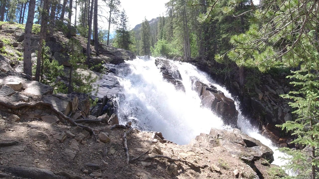 Mountain stream cascading between trees