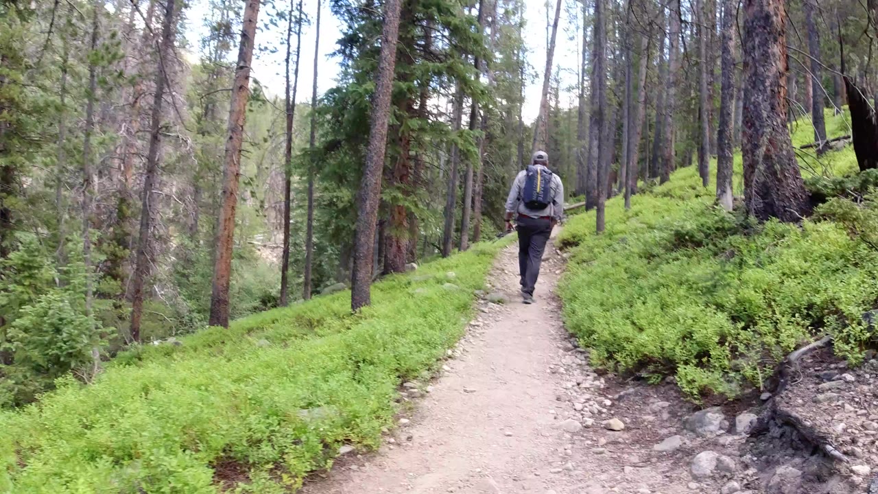 A backpacked adult walks away along a narrow dirt trail in a green conifer forest in Winter Park, Colorado.