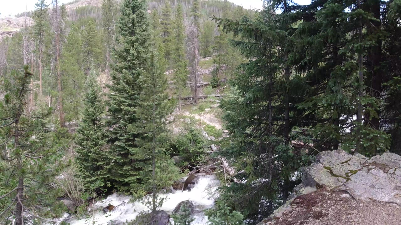 Winter Park, Colorado trail-side forest with tall pines, moss-marked rocks, pale dirt, and a narrow view of white water below, no visible people.