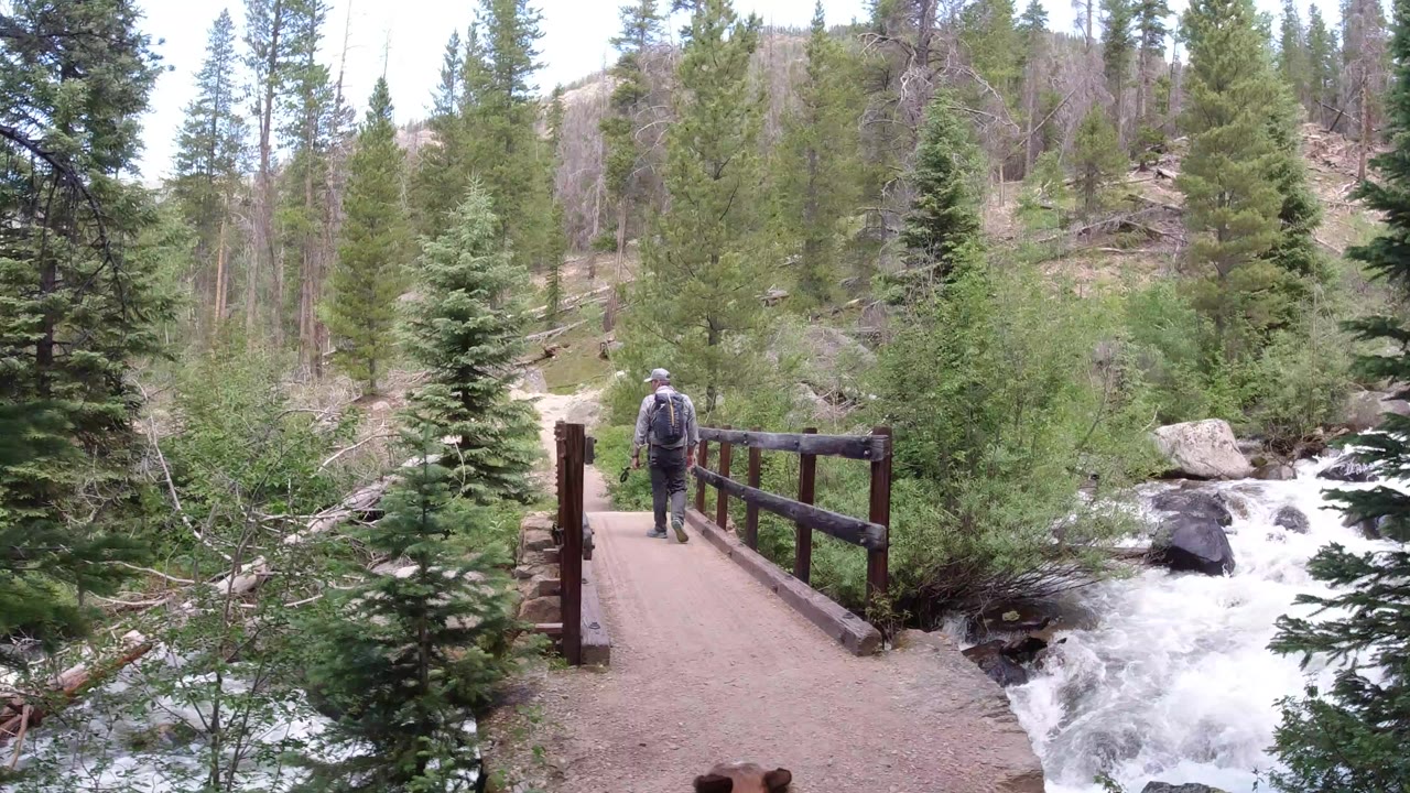 Backpacked hiker on a wooden bridge beside rushing water in a forest.